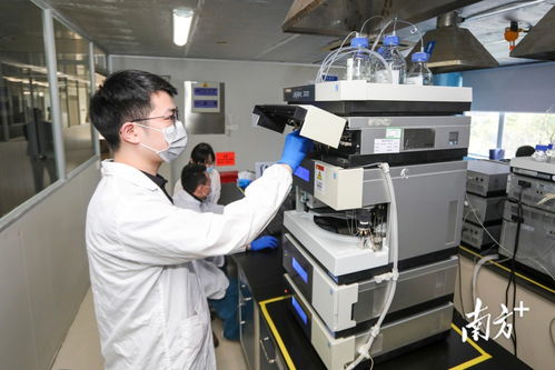 數說坪山 爭拼趕超跑出高質量發展加速度